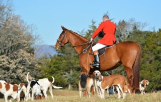 Fox Hunting in Virginia