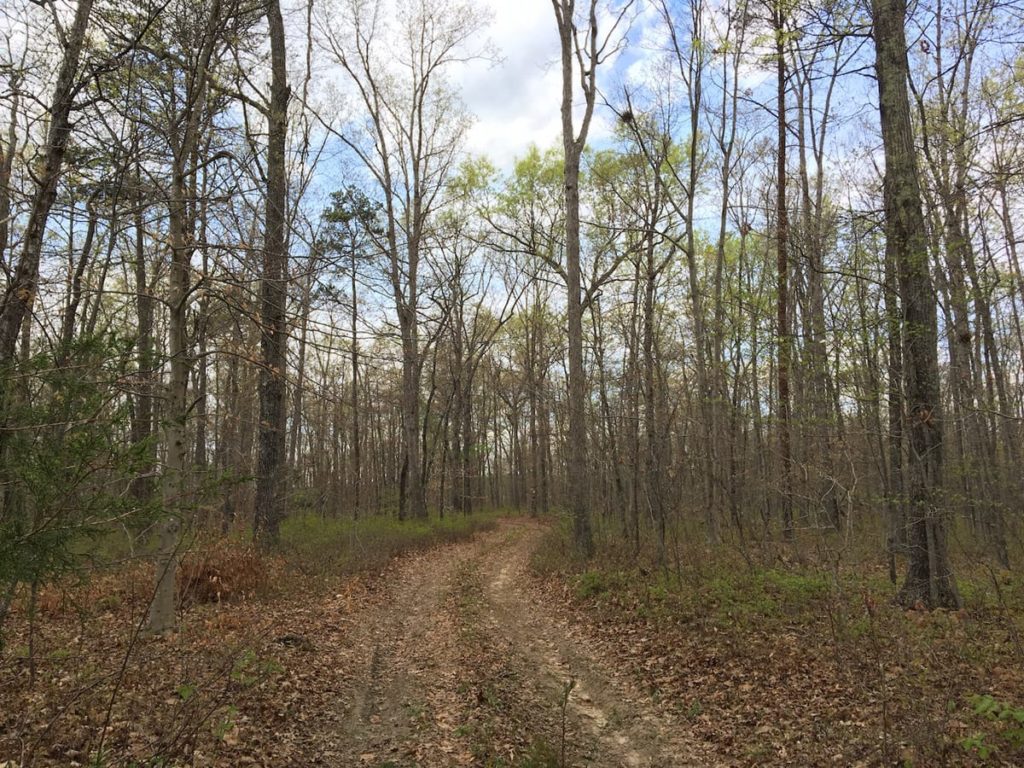 JT Samuels, Red Hill, Louisa, VA