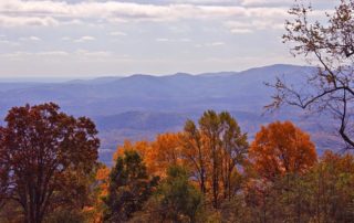 Fall view from Summerridge