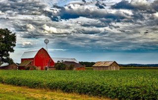 The Benefits of Conservation Easement