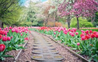 How To Experience Historic Virginia Garden Week