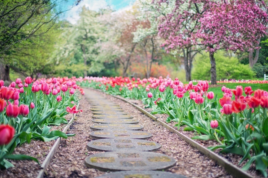 Our Top Picks for Historic Virginia Garden Week in Central Va.