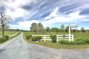 Entrance Drive