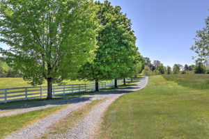 Leaving the farm